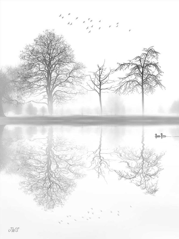 Reflection Digital Art Print by John Sullivan