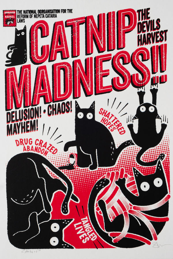 Catnip Madness
