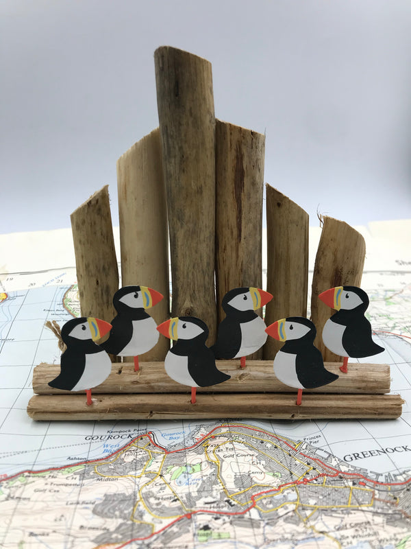 Puffins on Groynes