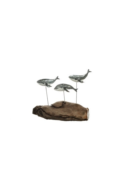 Silver Whales on Driftwood
